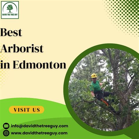 Tree Arborist Edmonton