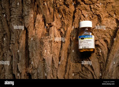 Tree Bark Aspirin