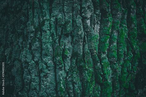 Tree Bark Green