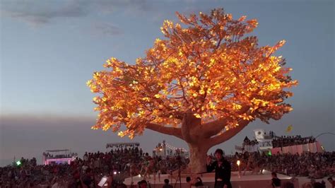 Tree Burning Man