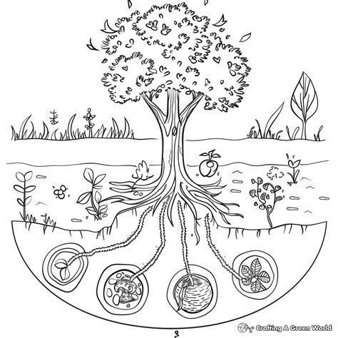 Tree Cycle Coloring Pages