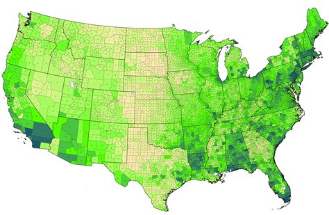 Tree Density Map