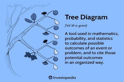 Tree Diagram Explanation