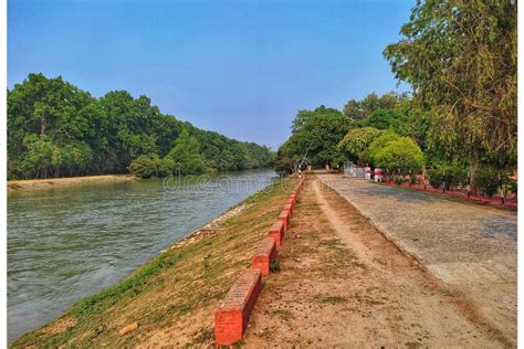 Tree Down River Road