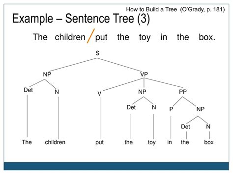 Tree Examples In Sentence