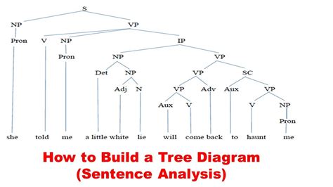 Tree Examples Of Sentence