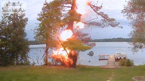 Tree Exploding Video