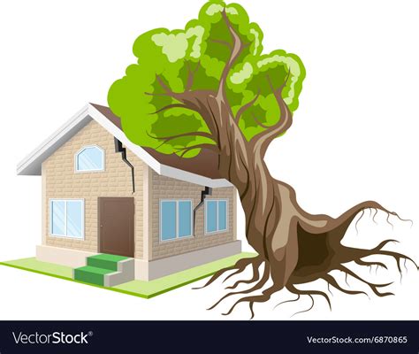 tree fall on house insurance