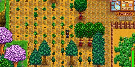 Tree Farm Stardew