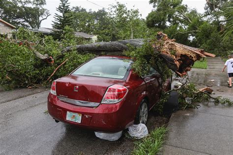 tree fell on car homeowners insurance