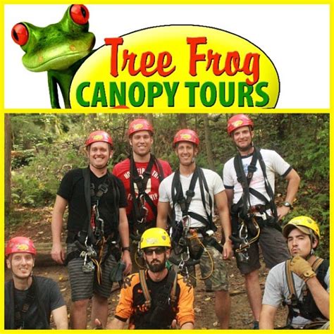 tree frog canopy tours