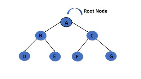 Tree Graph Root Node