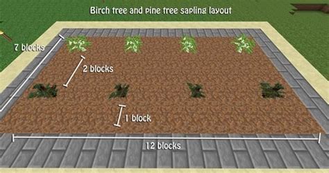 Tree Growing Conditions Minecraft