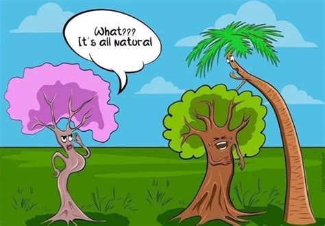 Tree Guy Jokes