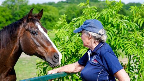 Tree House Equestrian