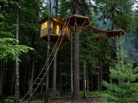 tree house in bay area