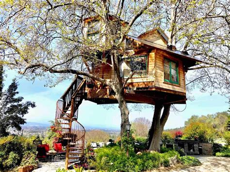 tree house in california