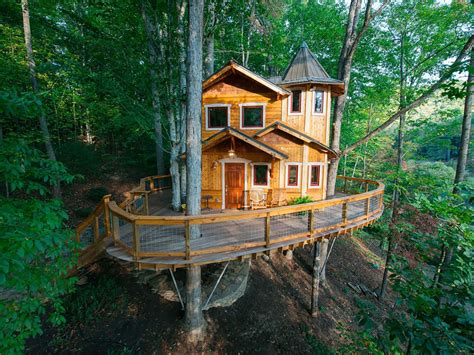 tree house rentals massachusetts