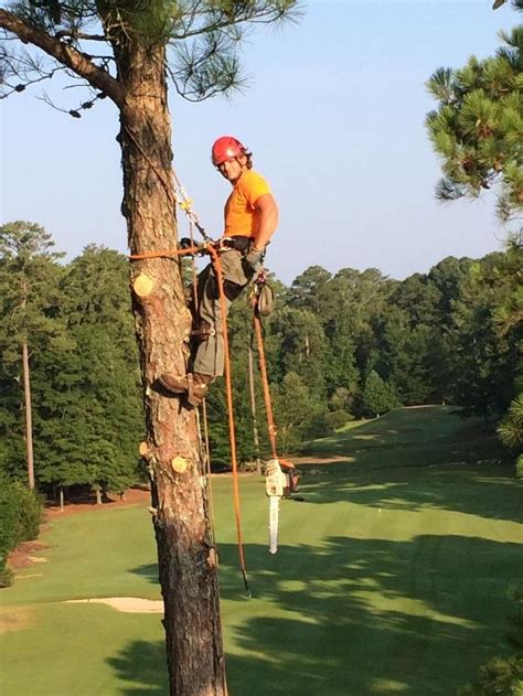 Tree Huggers French Camp Ms