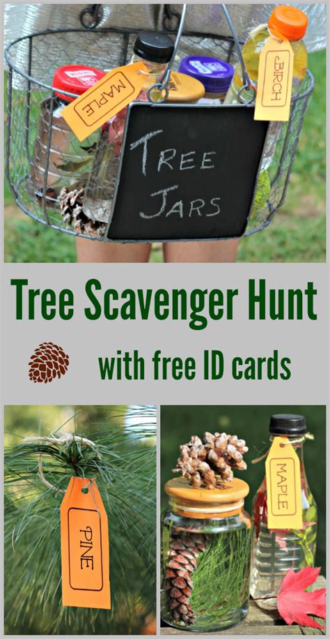 Tree Hunt Activity