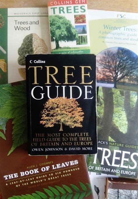 Tree Identification Book