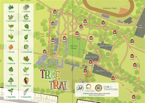 Tree In The Trail Map