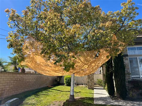 Tree Leaf Catcher Net