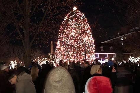 tree lighting princeton nj