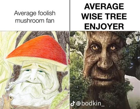 Tree Jokes And Puns Feketerdo