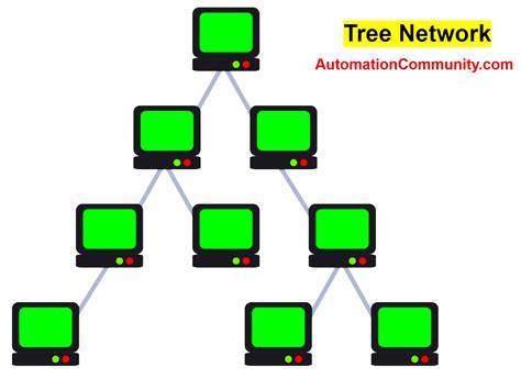Tree Network Definition English