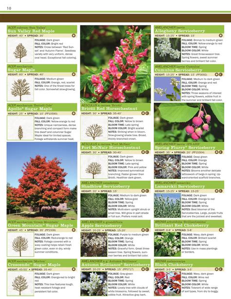 Tree Nursery Catalogs