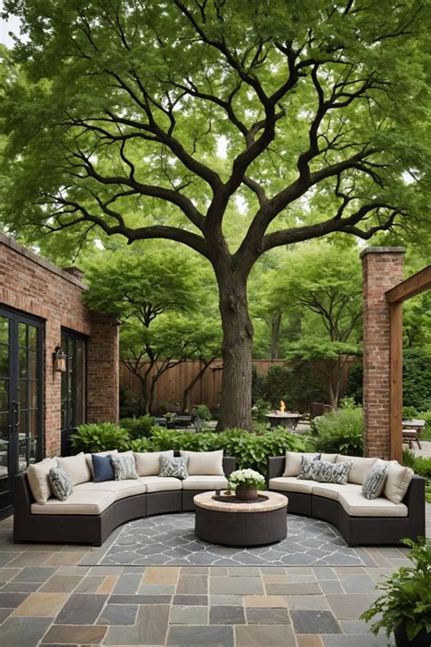 Potted Trees For Patios • Patio Ideas