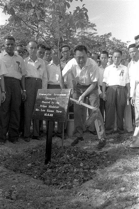 tree planting by lee kuan yew