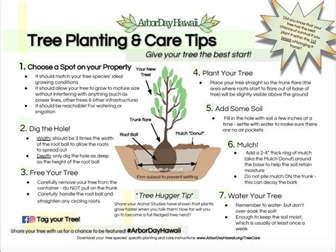 Tree Planting Tips