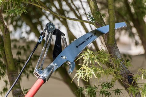 Tree Pruners Houston
