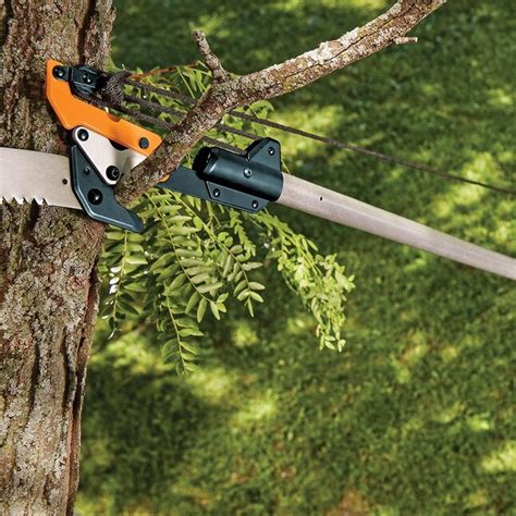 Tree Pruners Lowes