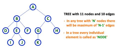 tree representation in data structure