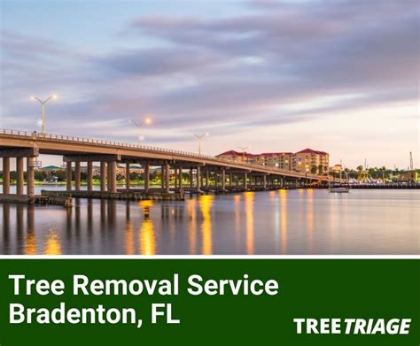 tree service bradenton fl