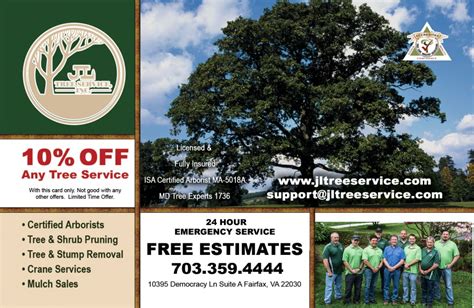 tree service fairfax virginia