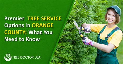 tree service in orange county