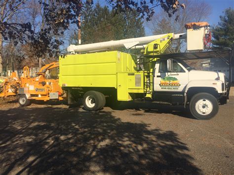 tree service in south jersey