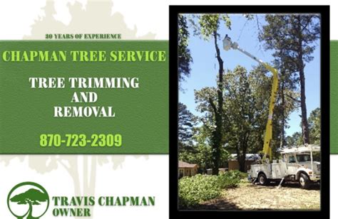 tree service monticello florida