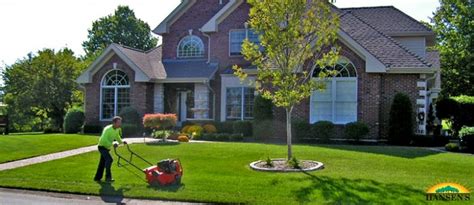 tree service o'fallon mo