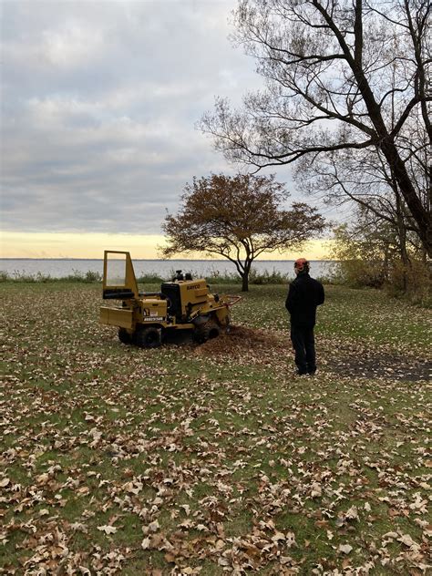 tree service oshkosh wi