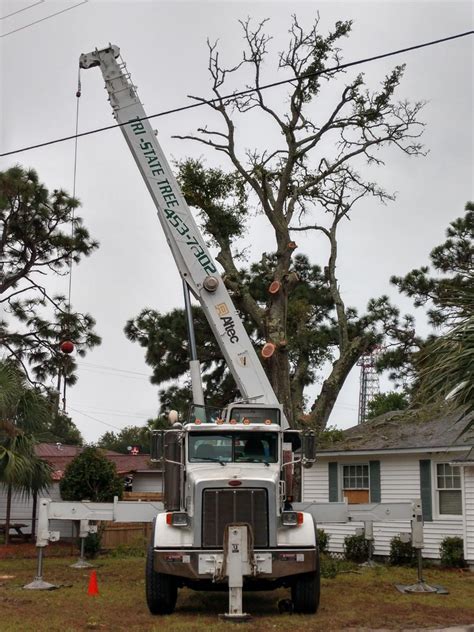 Pensacola FL Tree Service Locally owned tree service business