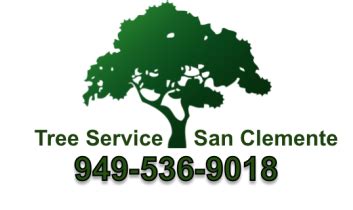 tree service san clemente