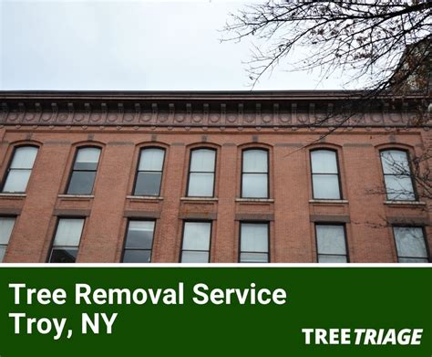 tree service troy ny