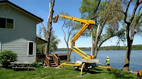 tree services near middletown nj