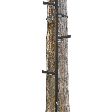 Tree Stand Ladders Amazon