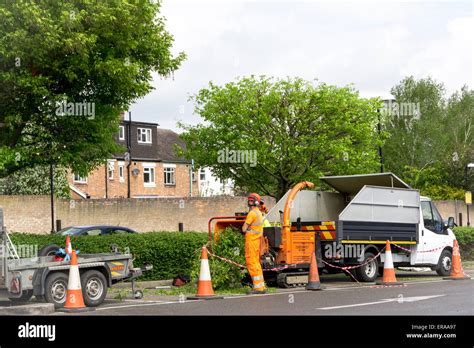 tree surgeons cambridge uk